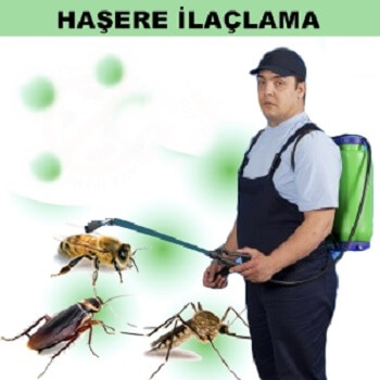 Çemişgezek Böcek İlaçlama